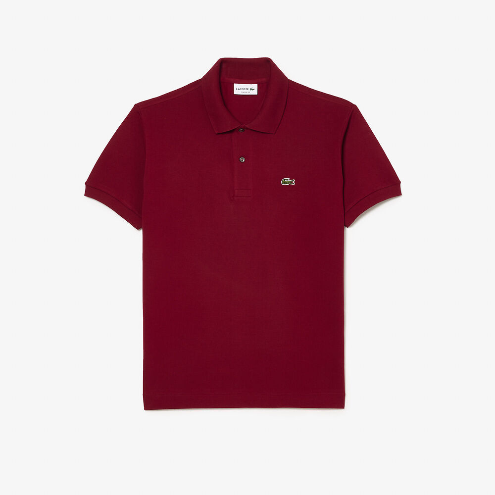 Maroon 2025 lacoste polo